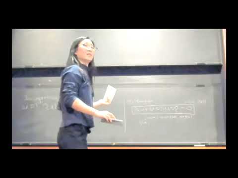 On globally dissipative Euler flows - Hyunju Kwon