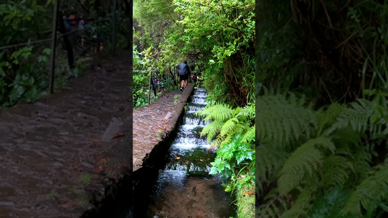 YouTube Short thumbnail