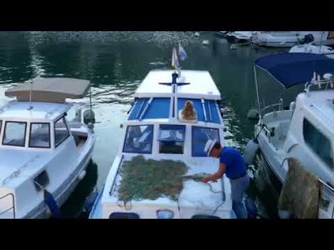 A Boatman Listening to ABBA in Zadar Croatia