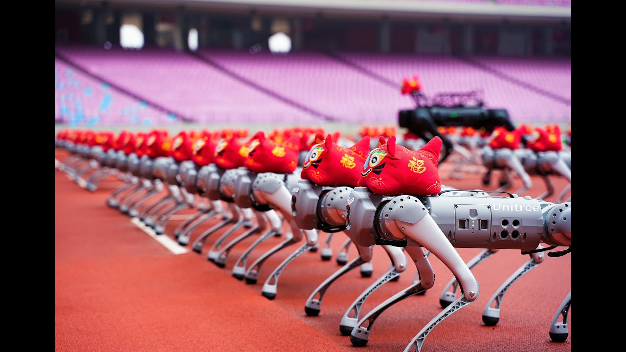 200 Unitree Robot Kümesi — Highlight