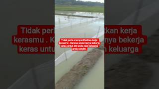 Download lagu Dia tidak butuh aktifitasmu mp3 Download lagu Dia tidak butuh aktifitasmu mp3