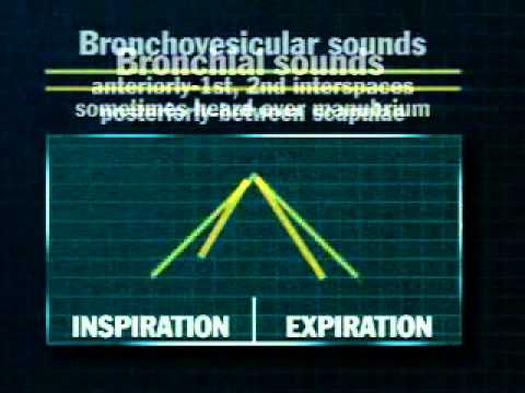 05 Normal Breath Sounds