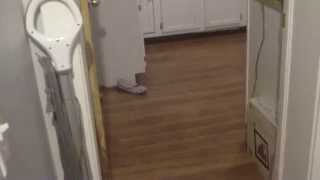 THUNDERCATS.... HOOOOOOO!