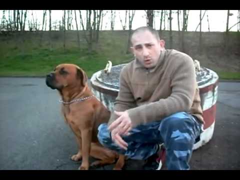 mais pourquoi ? TONTON ALKA musique MYALPROD & ALKAPROD