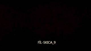 Video skica_9