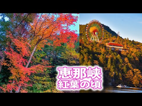 恵那峡の紅葉、今年もキレイです。今週末は「恵那峡もみじまつり」開催！