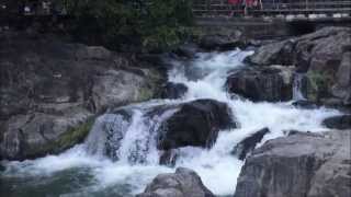 preview picture of video 'HOGENAKKAL FALLS'