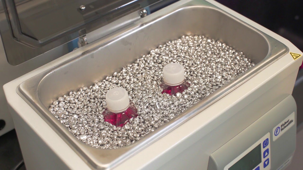 Cell Culture: Cell Culture Basics