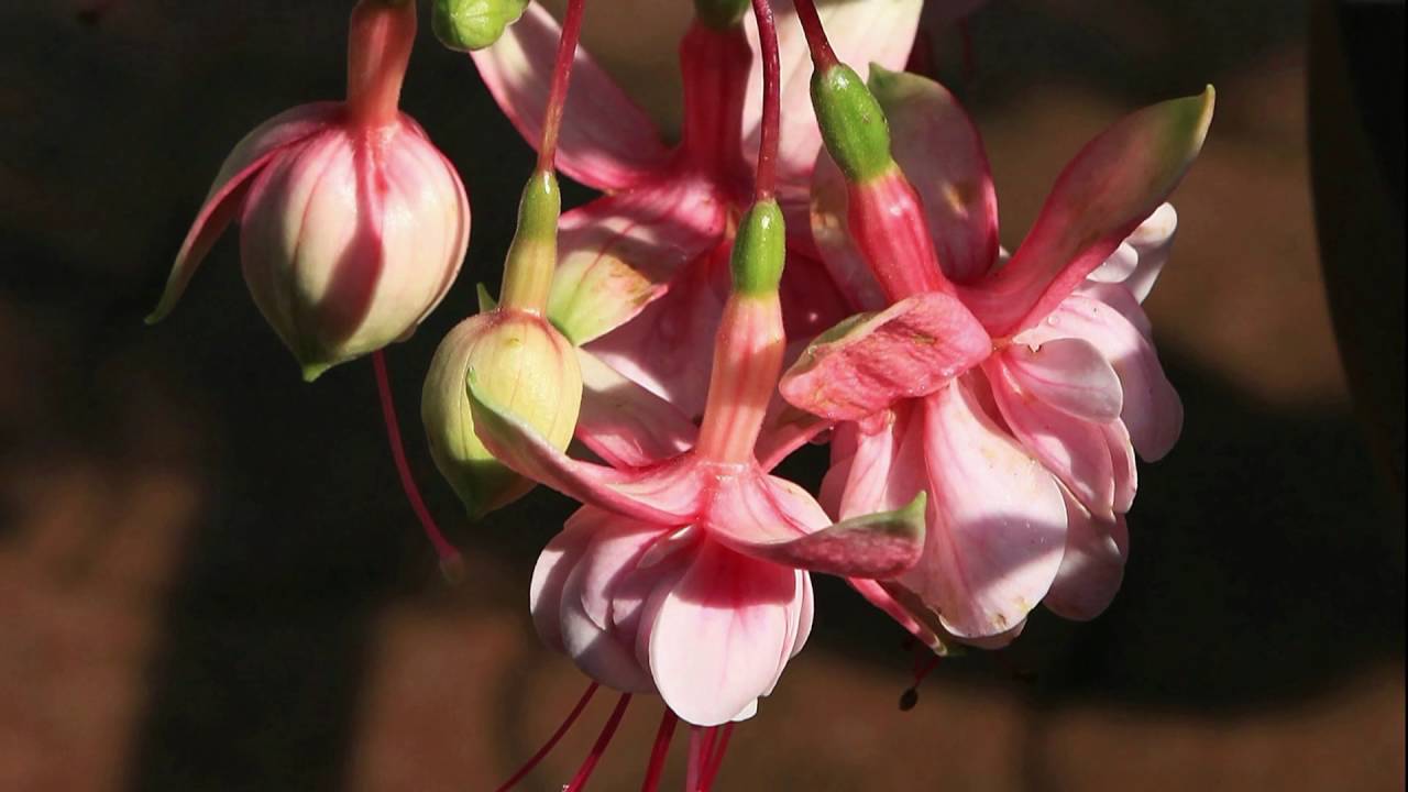 repeat movie image - 9