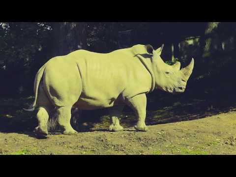 Zoo Zlín, zámek Buchlovice a hrad Buchlov 2013 | Petra Füllsacková