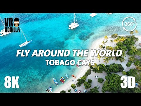 Fly Around the World VR - Tobago Cays (Teaser) a Caribbean Paradise - 8K 360 Video