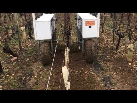 Vidéo YouTube - ON3YRuoZOrg