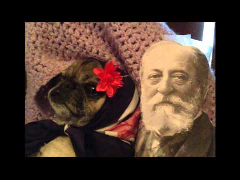 Camille Saint-Saëns French Project Movie