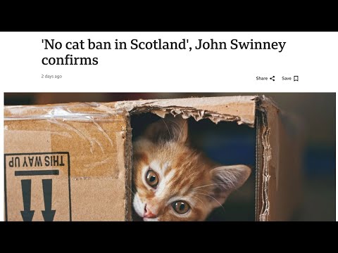 'No cat ban in Scotland', John Swinney Confirms | Keisha A. XIB - News Anchor