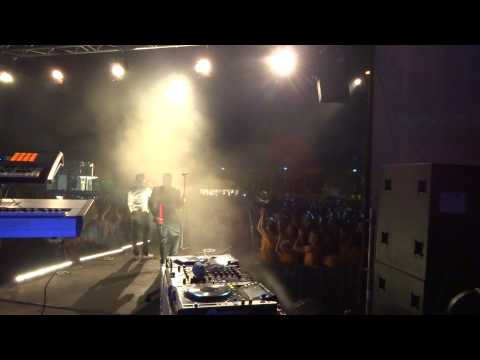 bloemencorso zundert 2013 zondag zonnewende