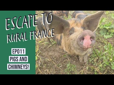 escape to rural france- pigs and chimneys EP011