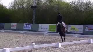 Video von Denver 203