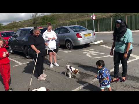 Nadira with Doggies @18-04-22