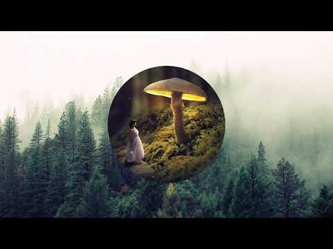 Nom De Strip & Nezzo vs  DVBBS & Borgeous   Devils Tsunami Remix