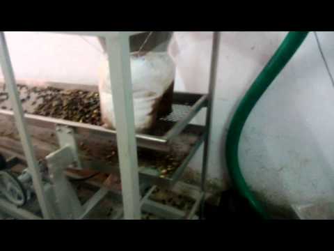Cashew Separator Machine