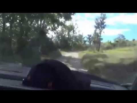 CHIROPRACTIC: Dr.Ante Pavlović, 14./29-28.08.2014.: MIJO-DINARA