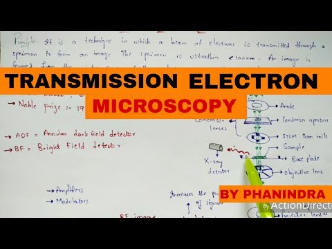 Bright Field Microscopy Principle Working Advantages and disadvantages