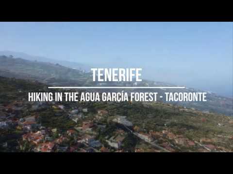Tenerife, hiking in the Agua Garcia Forest - Tacoronte