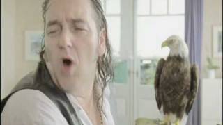 PIGEON HORSE SEX TENNIS win like an eagle