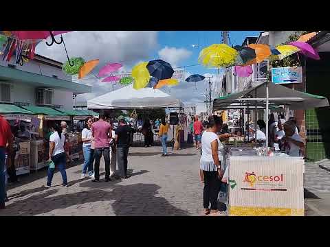 Feira de Quixabeira Bahia a minha terra linda 
