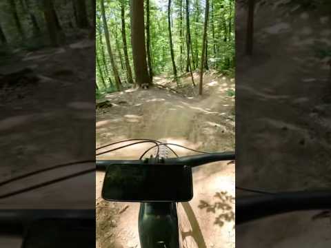 sommer, sonne, TRAILS🌞✌🏽 #mtb #mountainbike #trails #canadian #hexentrail #fox #bulls #emtb