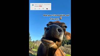 Finally did owls ​⁠@Pepsi_dragonz45 #owls #capcut #edit #trending #fypviralシ #blowup