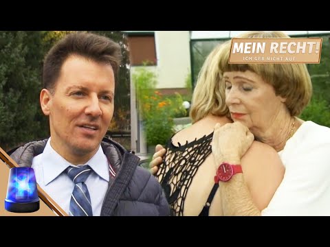 After 600 complaints: Dispute with neighbor enters the final round 😲 | My right! I won't give up ...