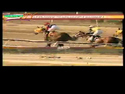 LA RINCONADA 11 CARRERA DOMINGO 06 DE ABRIL DEL 2014