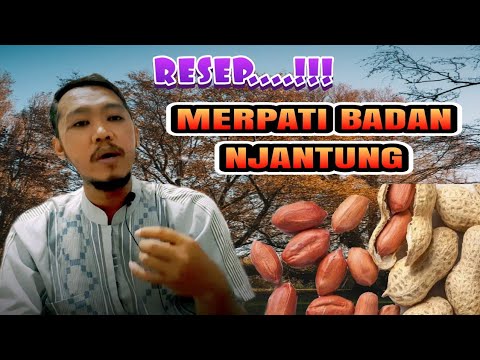 BENEFITS OF PEANUTS FOR PIGEONS...