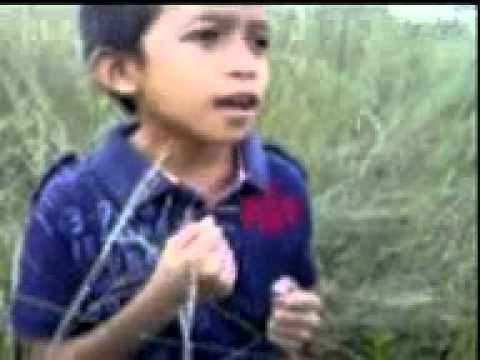 Gilang Sadewa - Punk Rock Jalanan.mp4