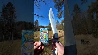 Opening pokemon TCG pack everyday