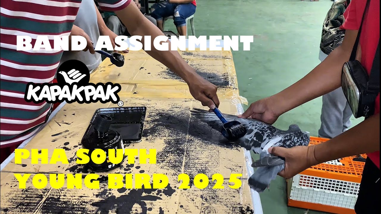 PHA BAND ASSIGNMENT SOUTH YB 2025