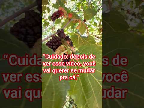 “Seus melhores momentos podem começar aqui.”JOAQUIM TAVORA PR#sitio #foryou #oportunidade #imoveis