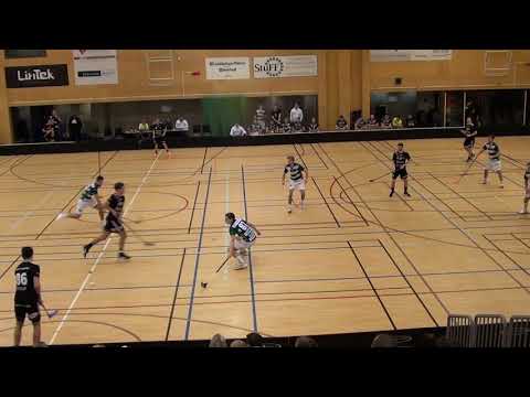 Ledberg-Linköping FBC 1 div 22.2.2020