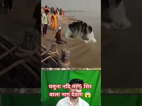 यमुना नदि मा नाग देवता 🙏#shorts #short #viralvideo #trendingshorts