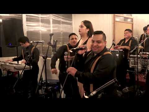 MIX GUARACHAS COMPAY GATO - SOL D VILLA ORQUESTA【4K】