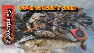 Удочки на окуня зимой своими руками