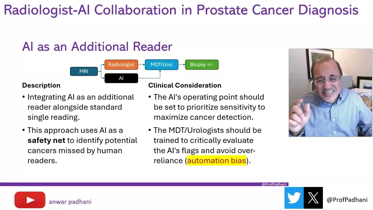 Teaming Up with AI in PCa Diagnosis