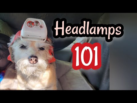 Headlamp 101 - Everything you need to know Before you Buy! Please 👍 #headlamp #headlamps #carcamping