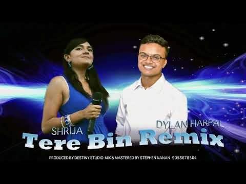 Dylan Harpal ft. Shrija - Tere Bin 2K19