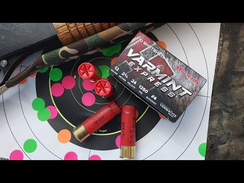 Hornady Varmint Express No. 4 Buckshot Load in 2.75" 12ga. with 3-shot group and shell breakdown.