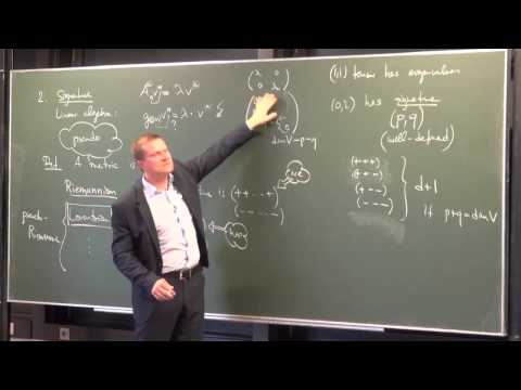 Lecture 10: Metric Manifolds (International Winter School on Gravity and Light 2015)