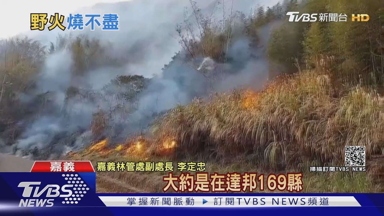 阿里山大火搏鬥逾48hr 菸蒂惹禍可能性高
