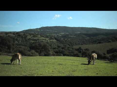 GAL Anglona - Romangia / Laboratori cinematografici – Erula