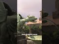Proof Dragons Are Real 🤯